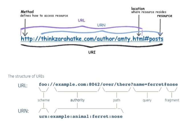 Что такое dns uri url